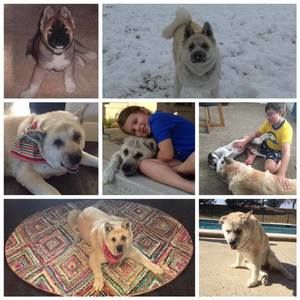 Meet your Posher, Regena